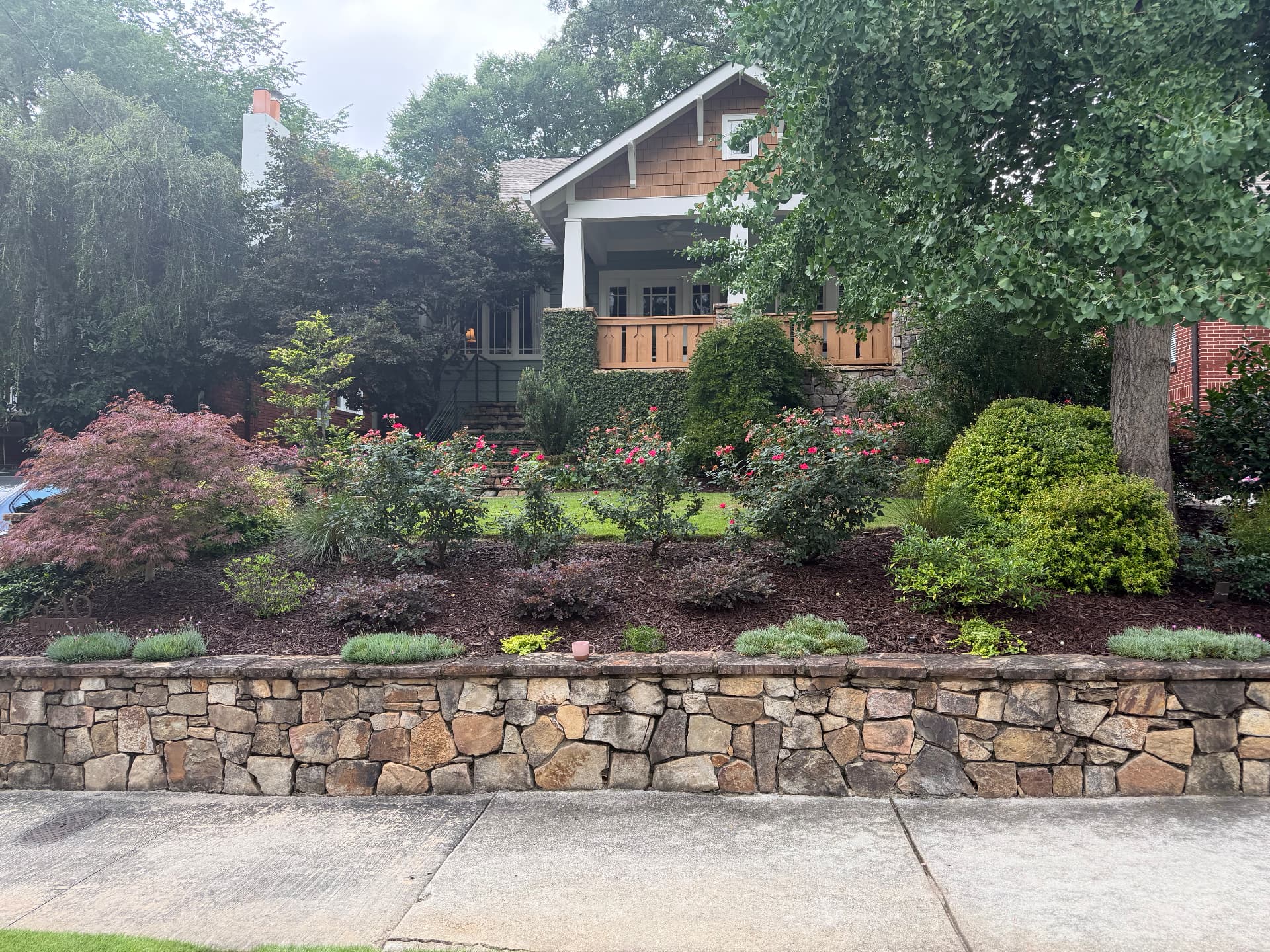Before: existing craftsman front yard with car in driveway, sloped lawn and original landscape before redesign